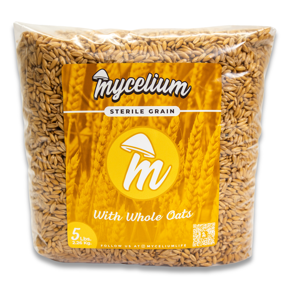 
                      
                        CVG Substrate & Whole Oats Grain Bundle
                      
                    