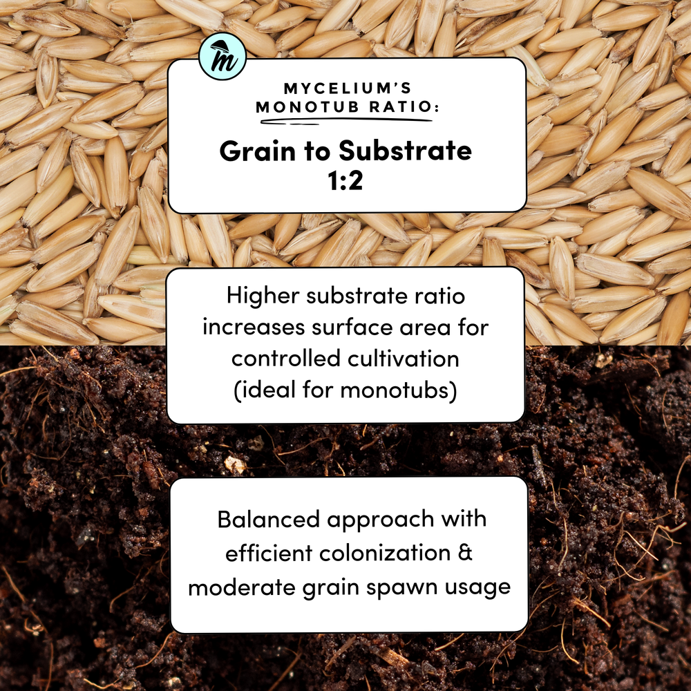 
                      
                        CVG Substrate & Whole Oats Grain Bundle
                      
                    