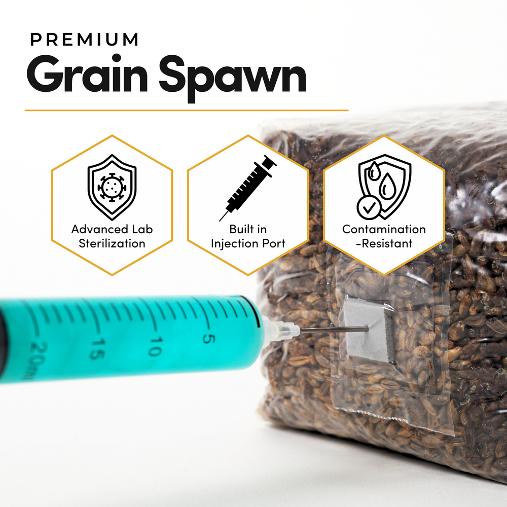 
                      
                        CVG Substrate & Whole Oats Grain Bundle
                      
                    