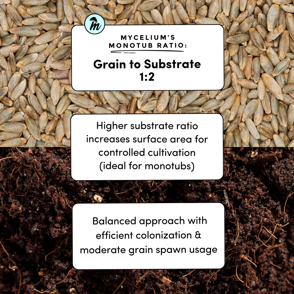 
                      
                        CVG Substrate & Rye Berries Grain Bundle
                      
                    