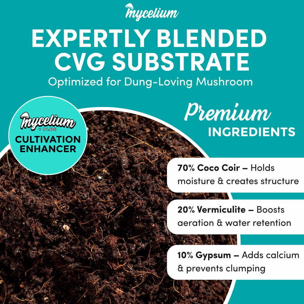 
                      
                        Mycelium+ CVG Substrate & Millet/Milo Grain Bundle
                      
                    