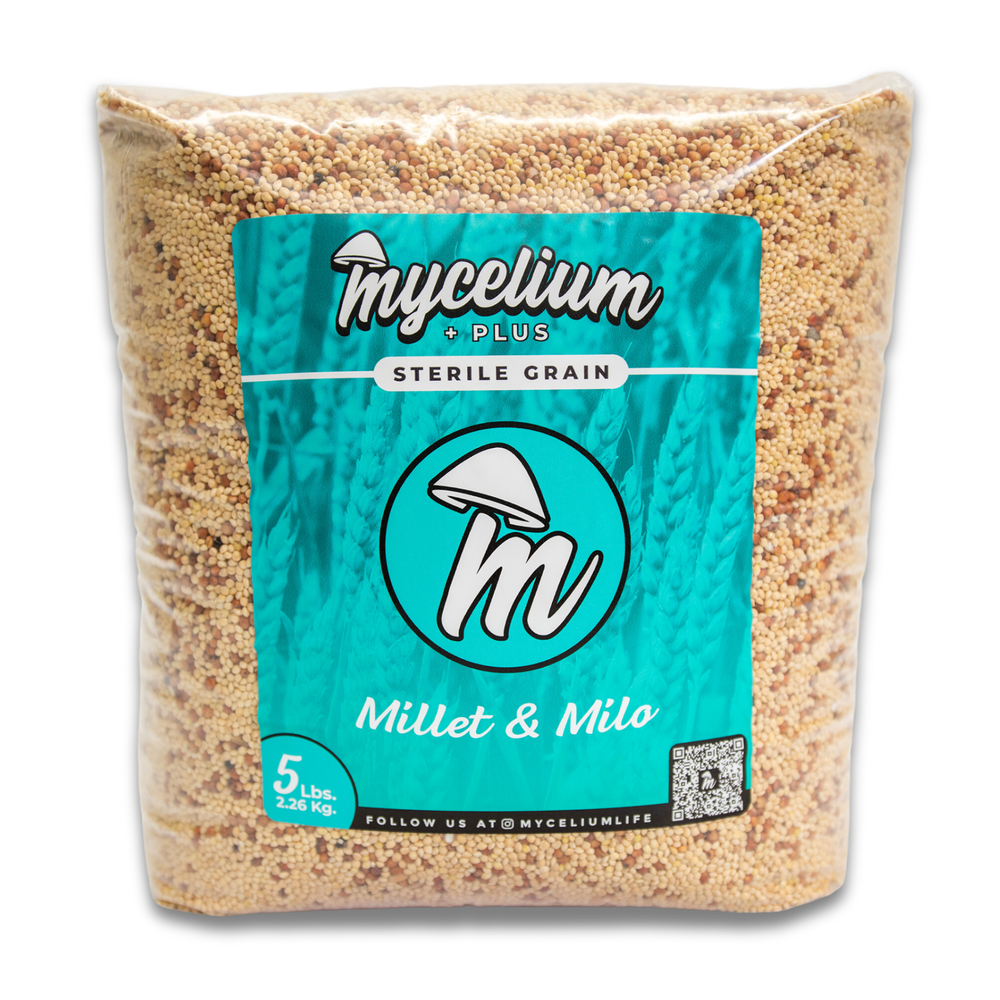 
                      
                        Mycelium+ CVG Substrate & Millet/Milo Grain Bundle
                      
                    