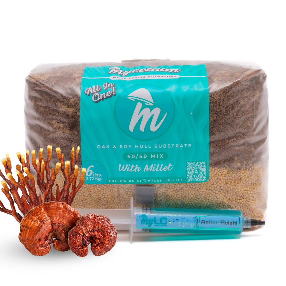 Liquid Culture Grow Kits
