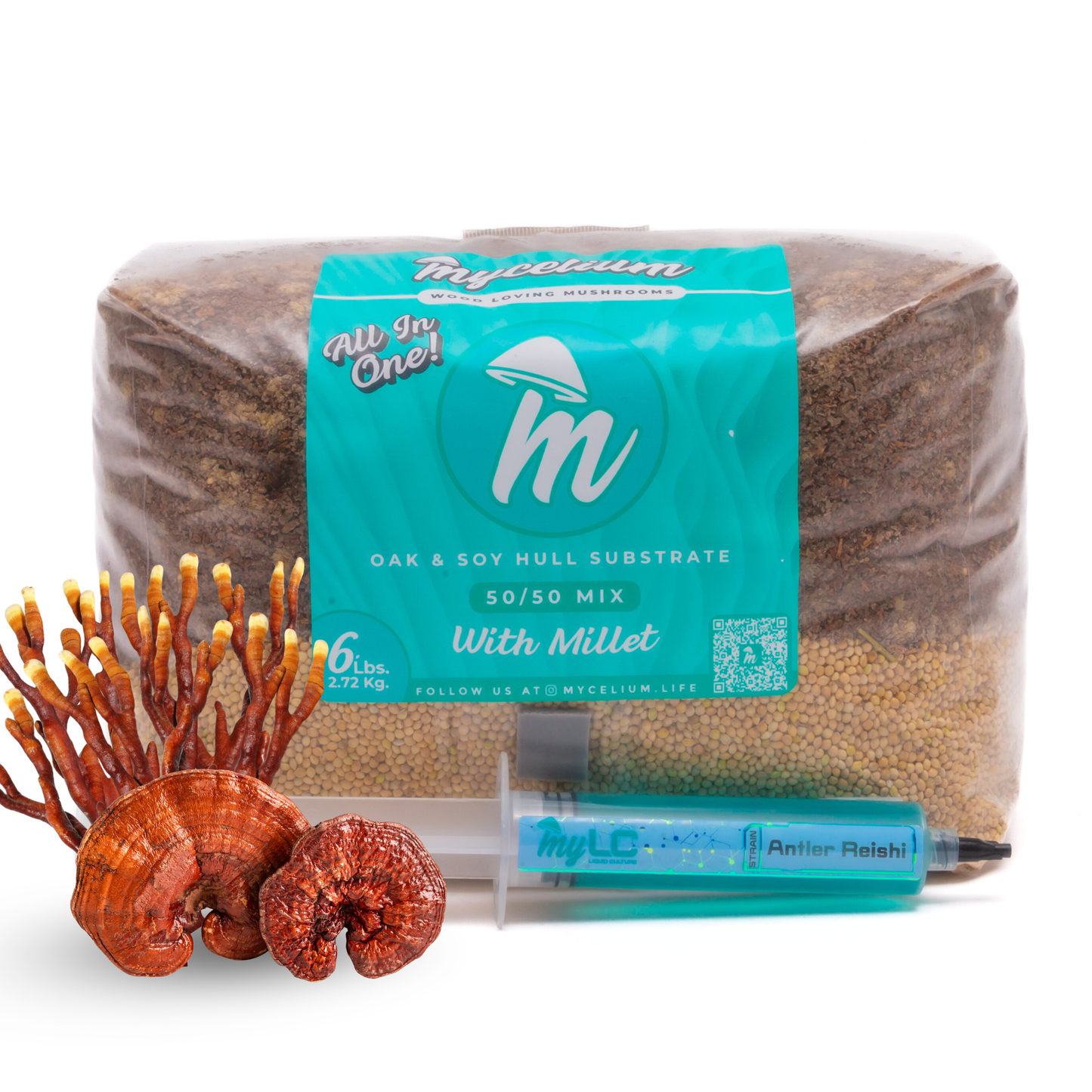 Liquid Culture Grow Kits