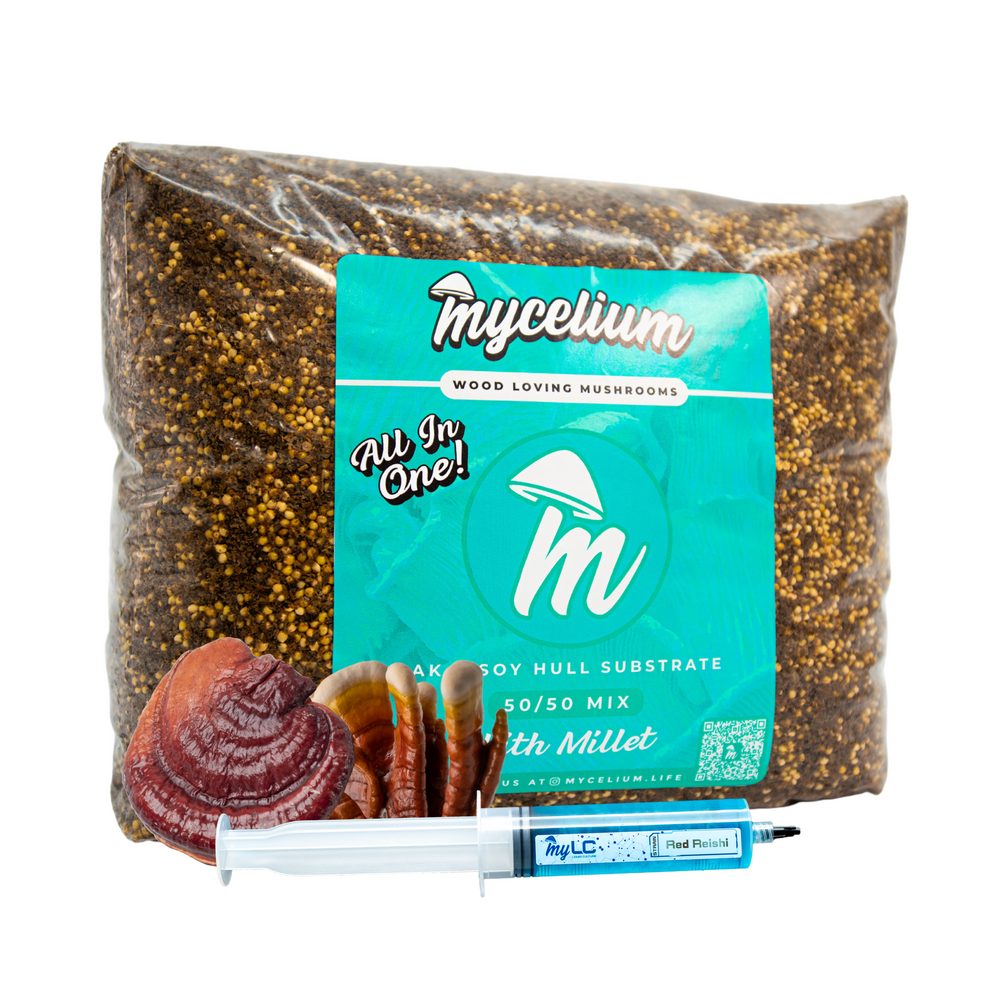 Red Reishi Mushroom Grow Kit - Oak & Soy Hull with Millet Grain