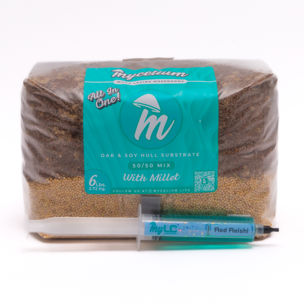 Red Reishi Mushroom Grow Kit - Oak & Soy Hull with Millet Grain