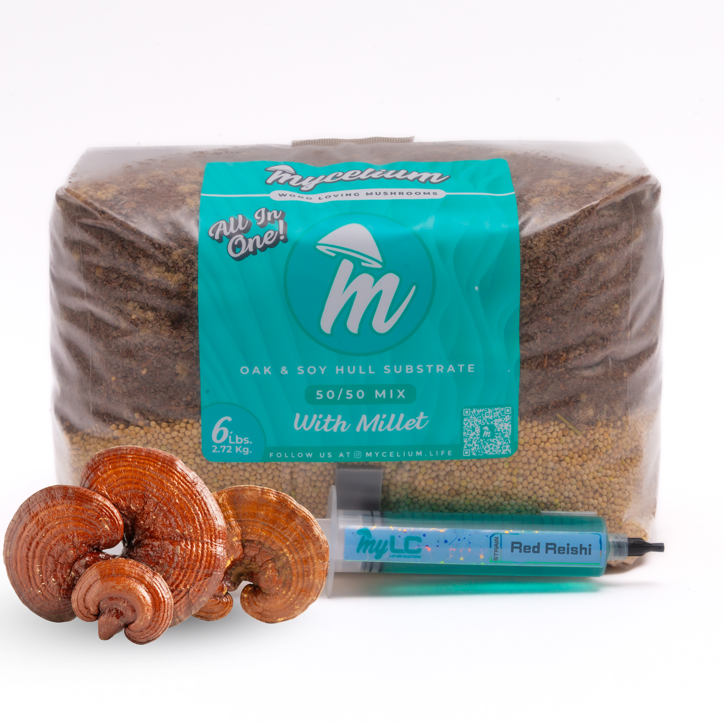 Red Reishi Mushroom Grow Kit - Oak & Soy Hull with Millet Grain