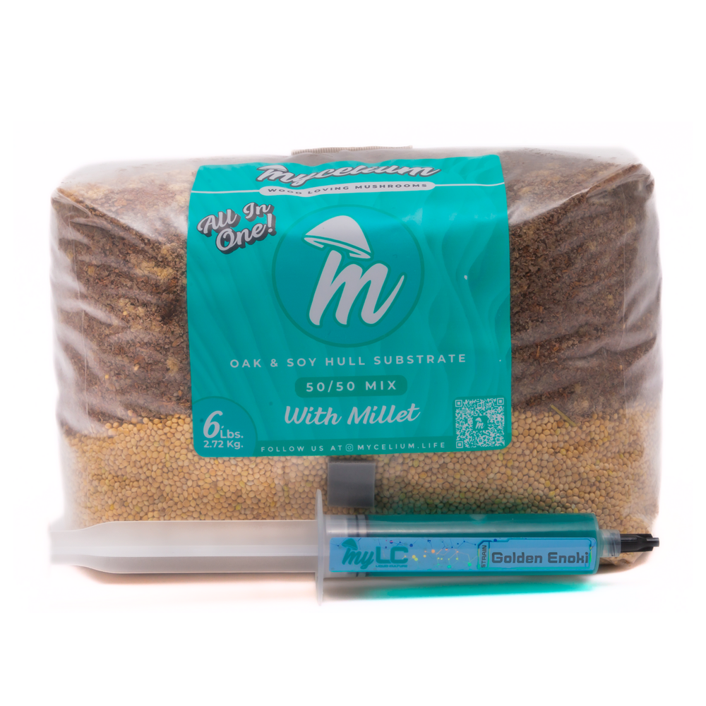 Golden Enoki Mushroom Grow Kit - Oak & Soy Hull with Millet Grain