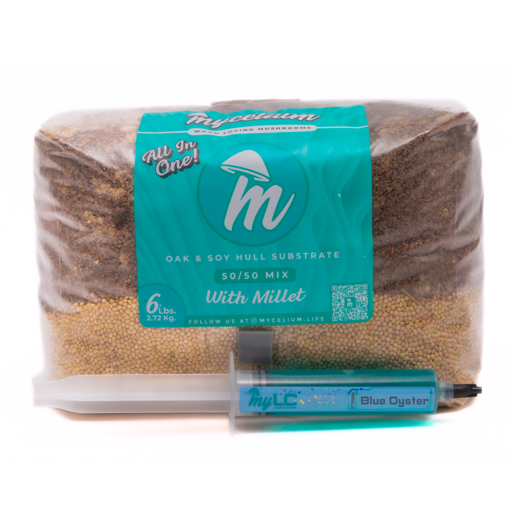 Blue Oyster Mushroom Grow Kit - Oak & Soy Hull with Millet Grain