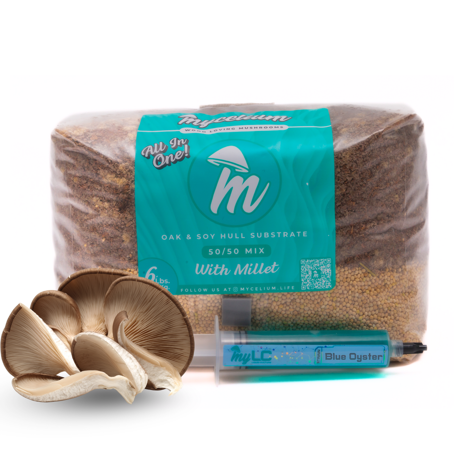 Blue Oyster Mushroom Grow Kit - Oak & Soy Hull with Millet Grain