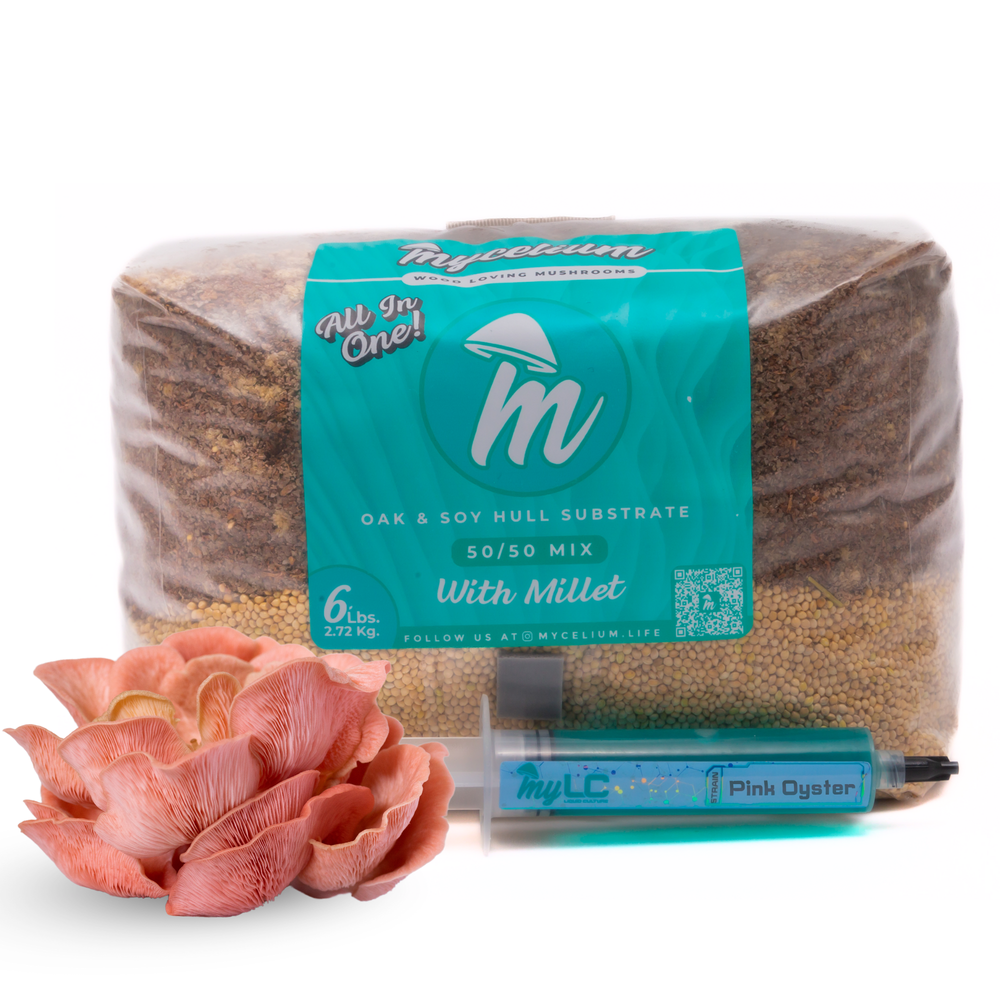 Pink Oyster Mushroom Grow Kit - Oak & Soy Hull with Millet Grain