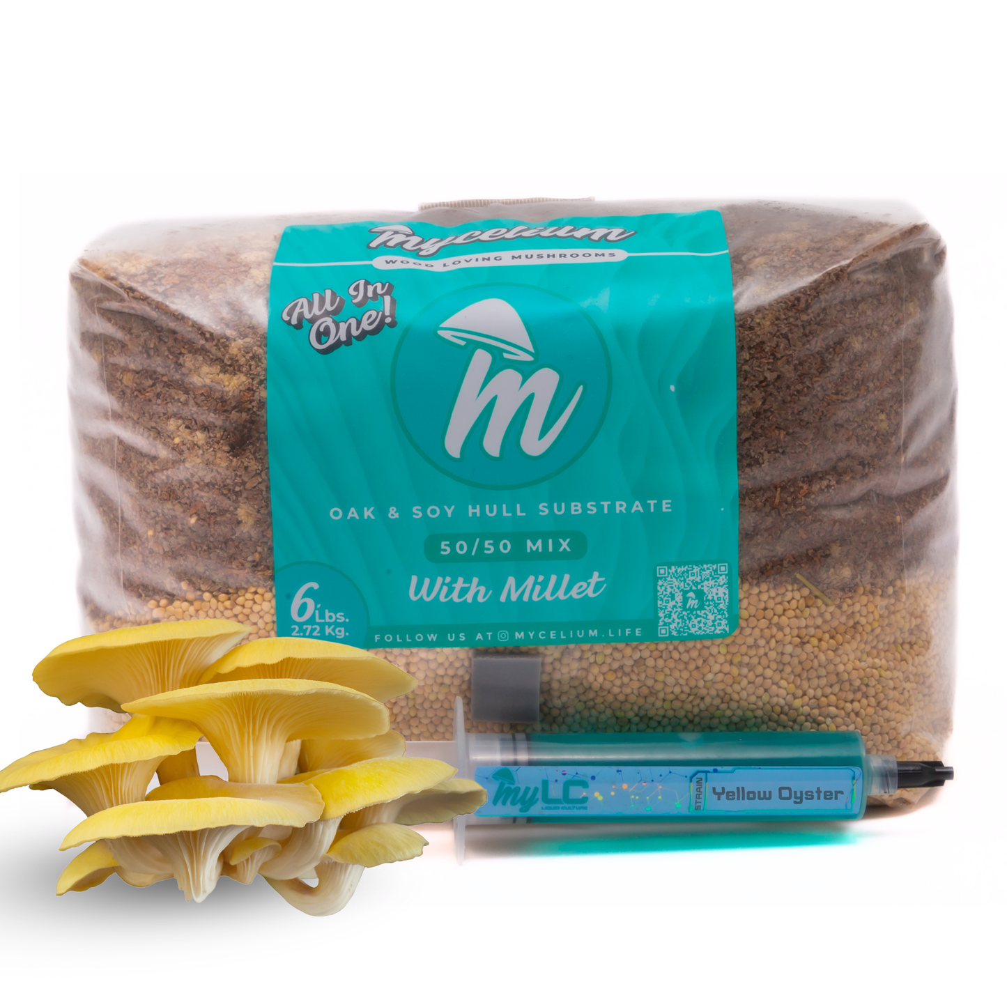 Yellow Oyster Mushroom Grow Kit - Oak & Soy Hull with Millet Grain
