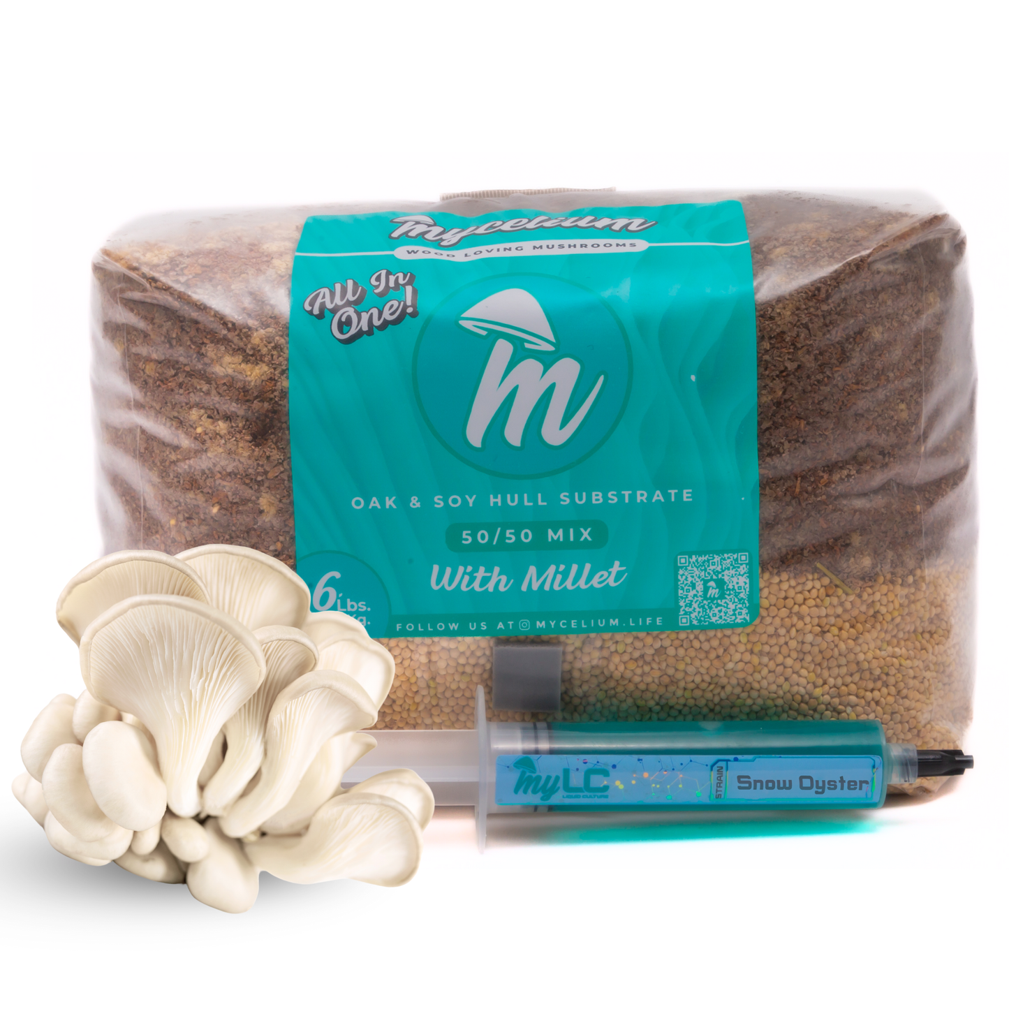 Snow Oyster Mushroom Grow Kit - Oak & Soy Hull with Millet Grain