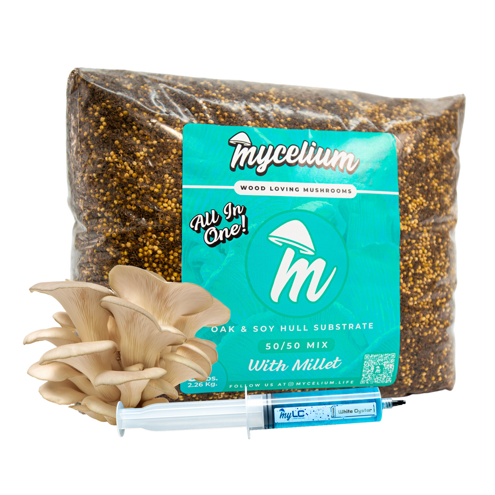 
                      
                        White Oyster Mushroom Grow Kit <br> Oak & Soy Hull with Millet <br> Available in 5 & 8 lbs
                      
                    