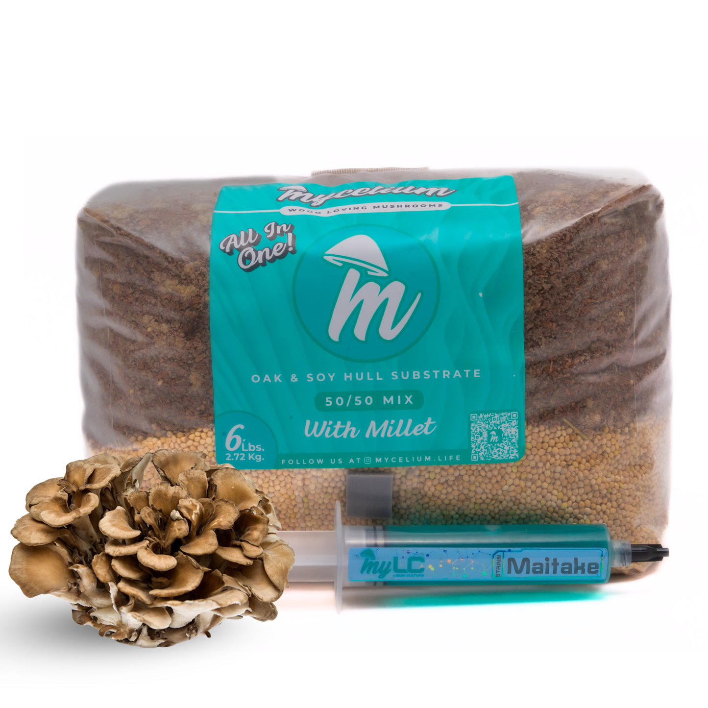 Maitake Mushroom Grow Kit - Oak & Soy Hull with Millet Grain