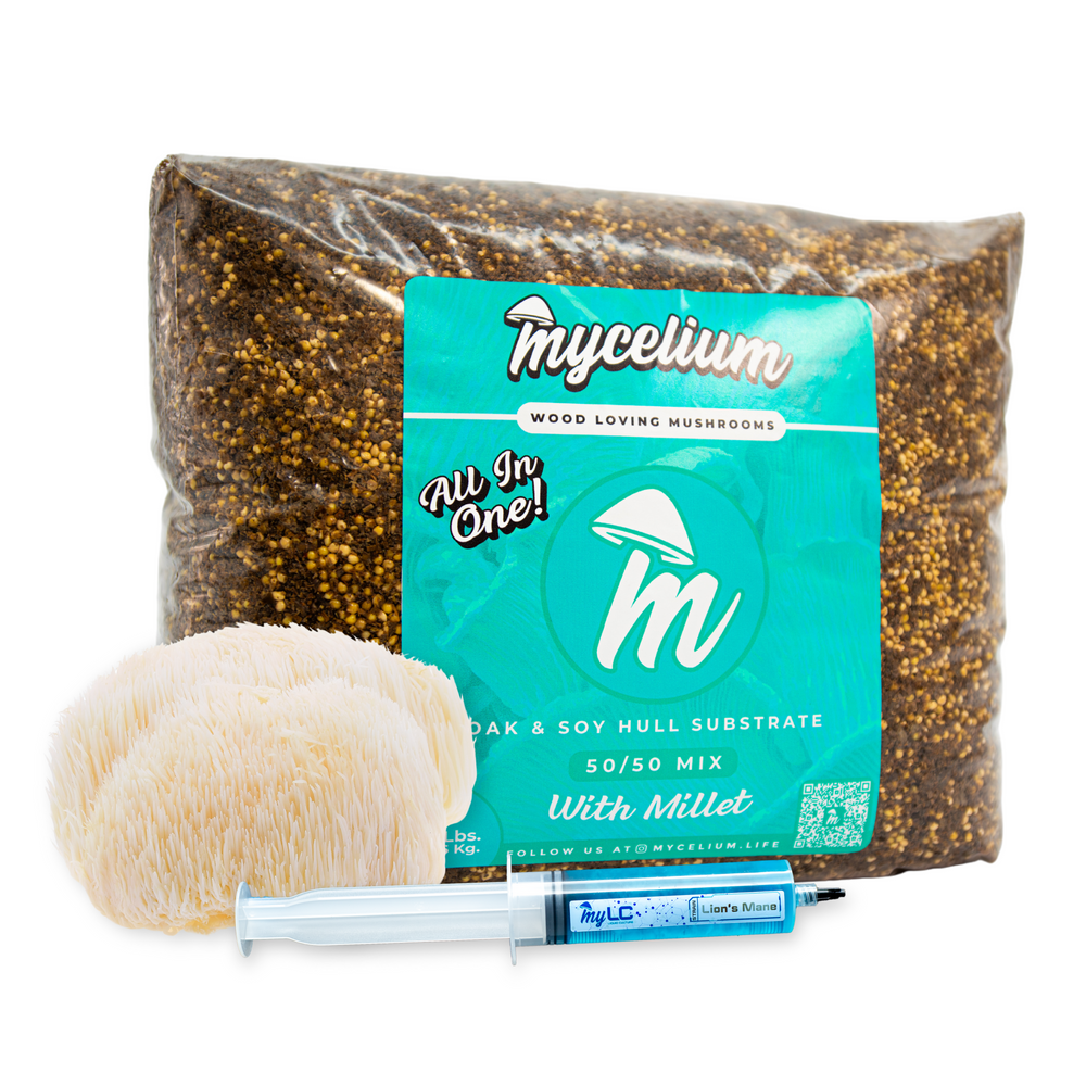 
                      
                        Lion's Mane Mushroom Grow Kit - Oak & Soy Hull with Millet Grain
                      
                    