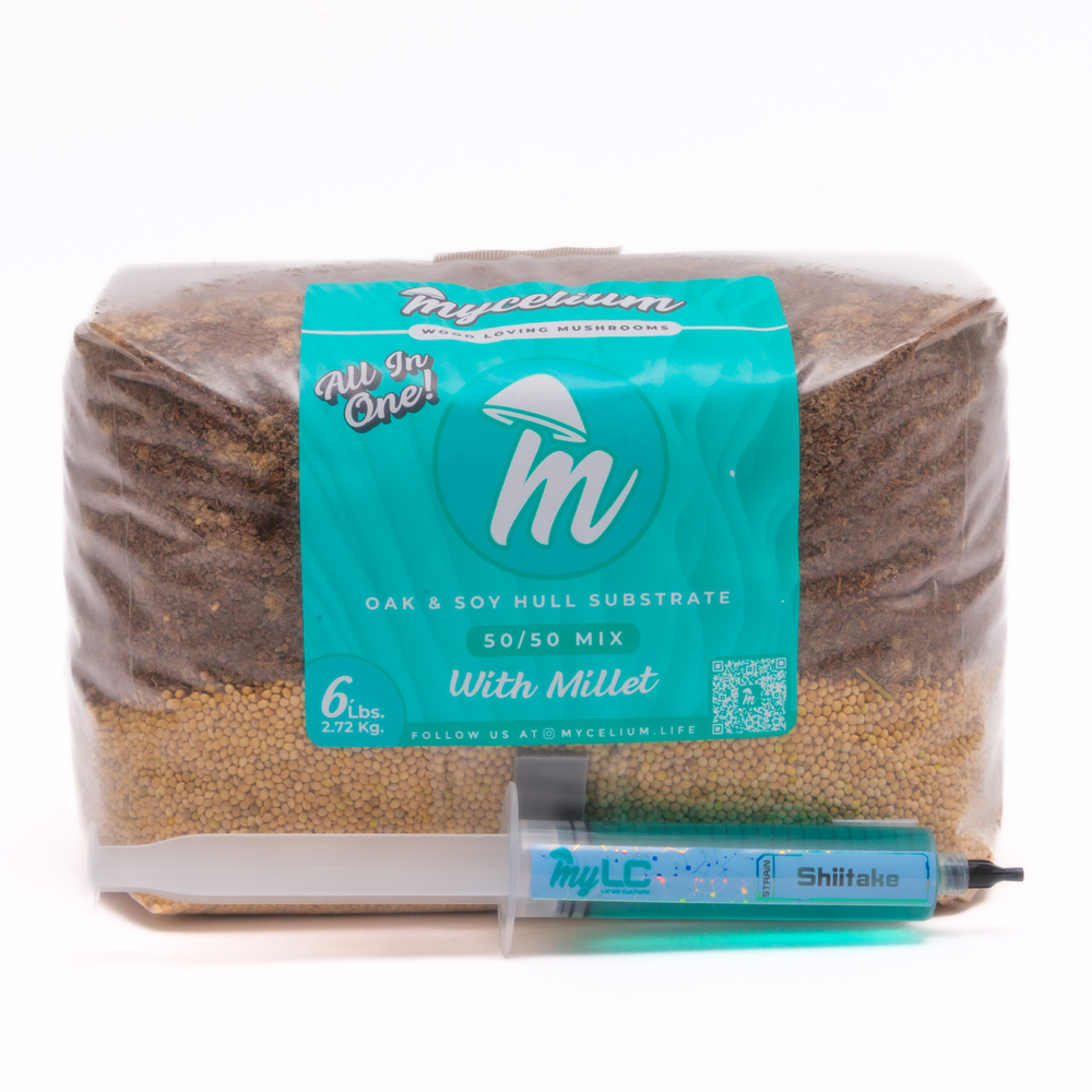 Shiitake Mushroom Grow Kit - Oak & Soy Hull with Millet Grain