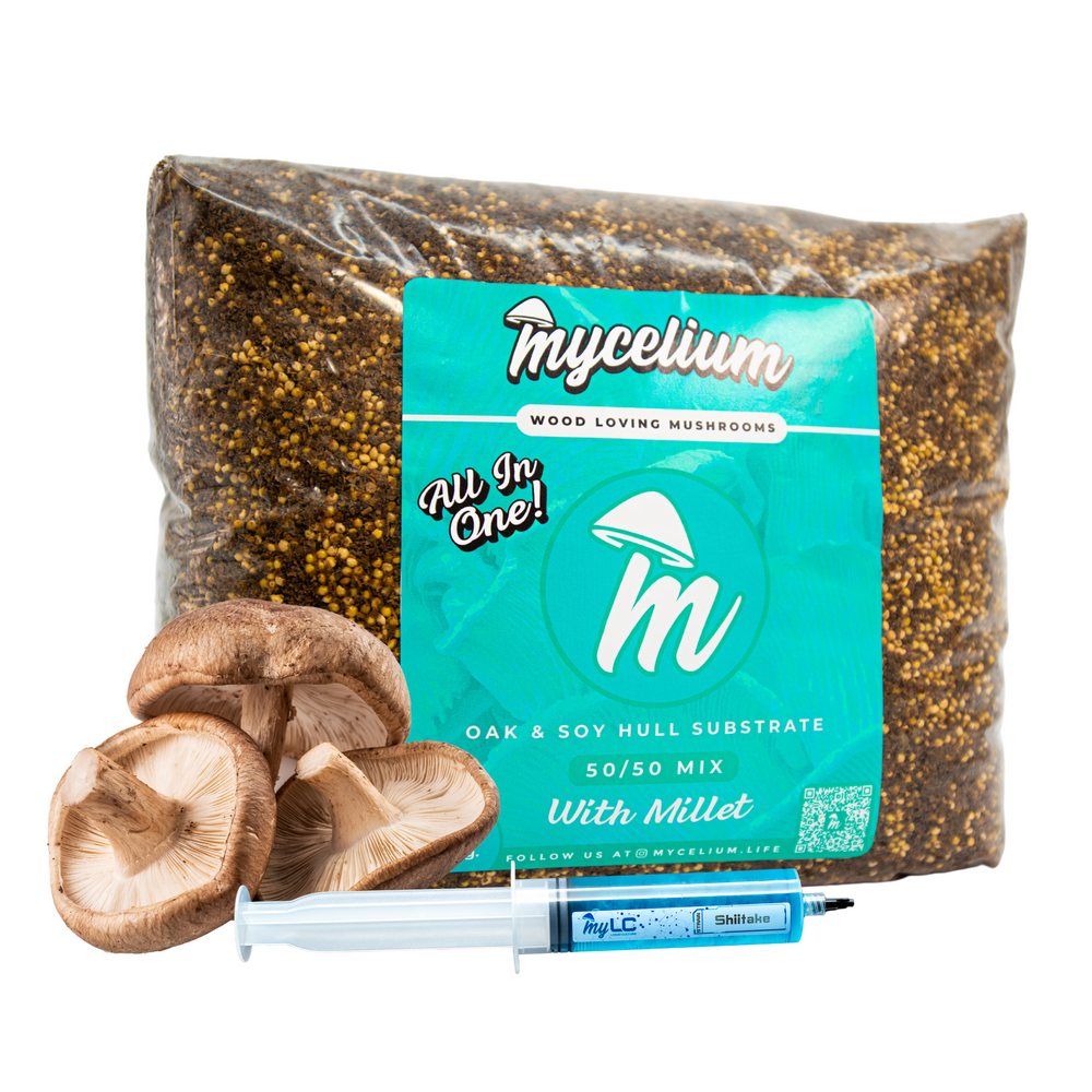 
                      
                        Shiitake Mushroom Grow Kit - Oak & Soy Hull with Millet Grain
                      
                    