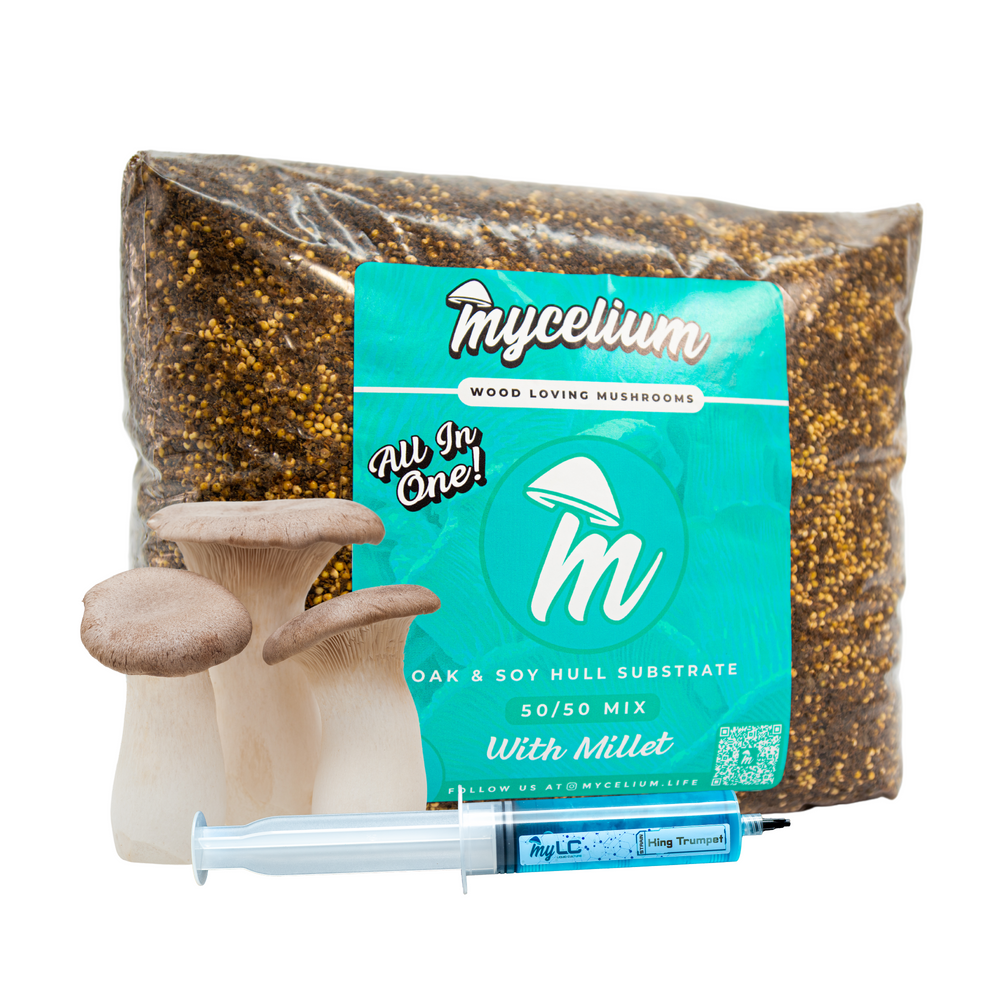 
                      
                        King Trumpet Mushroom Grow Kit - Oak & Soy Hull with Millet Grain
                      
                    