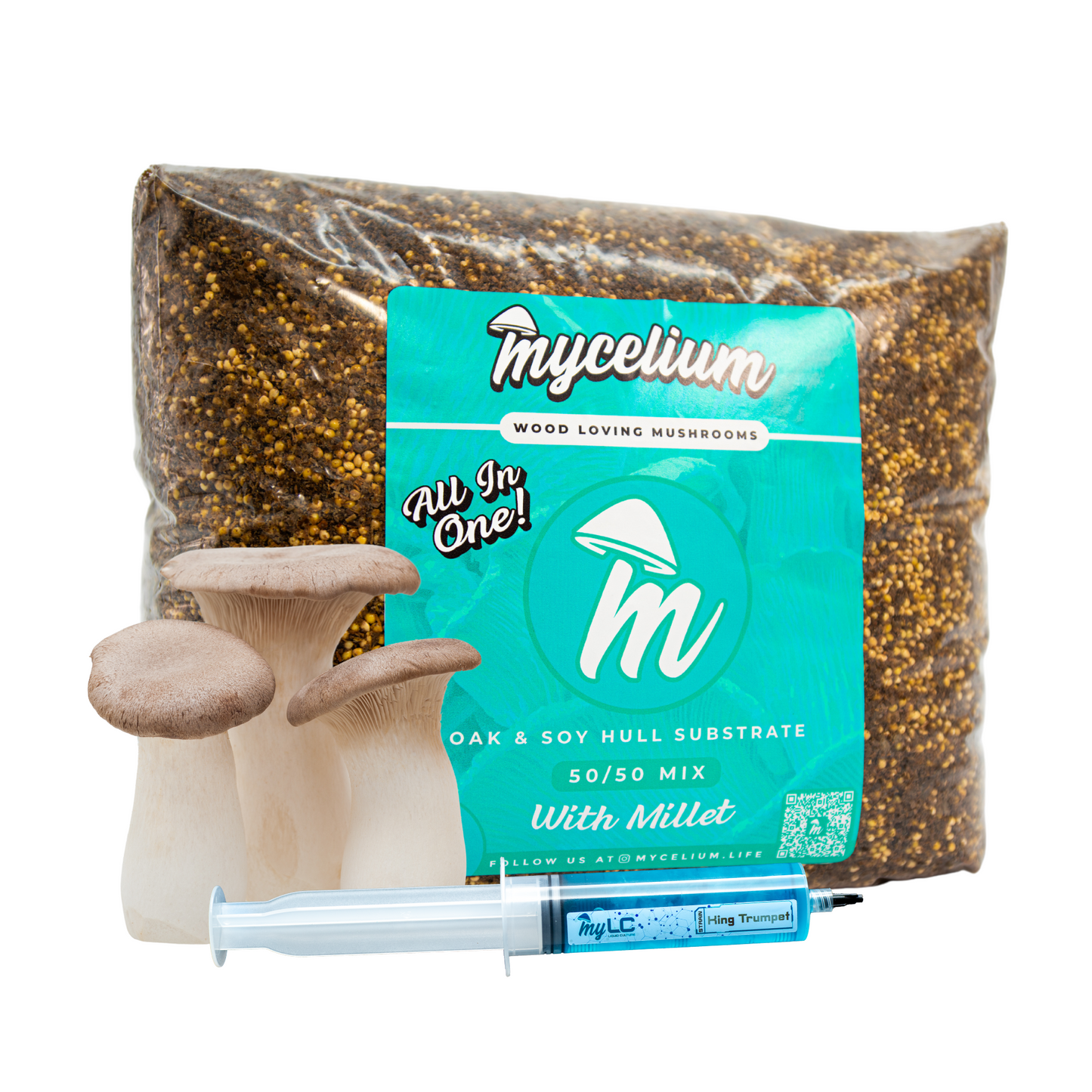 King Trumpet Mushroom Grow Kit - Oak & Soy Hull with Millet Grain