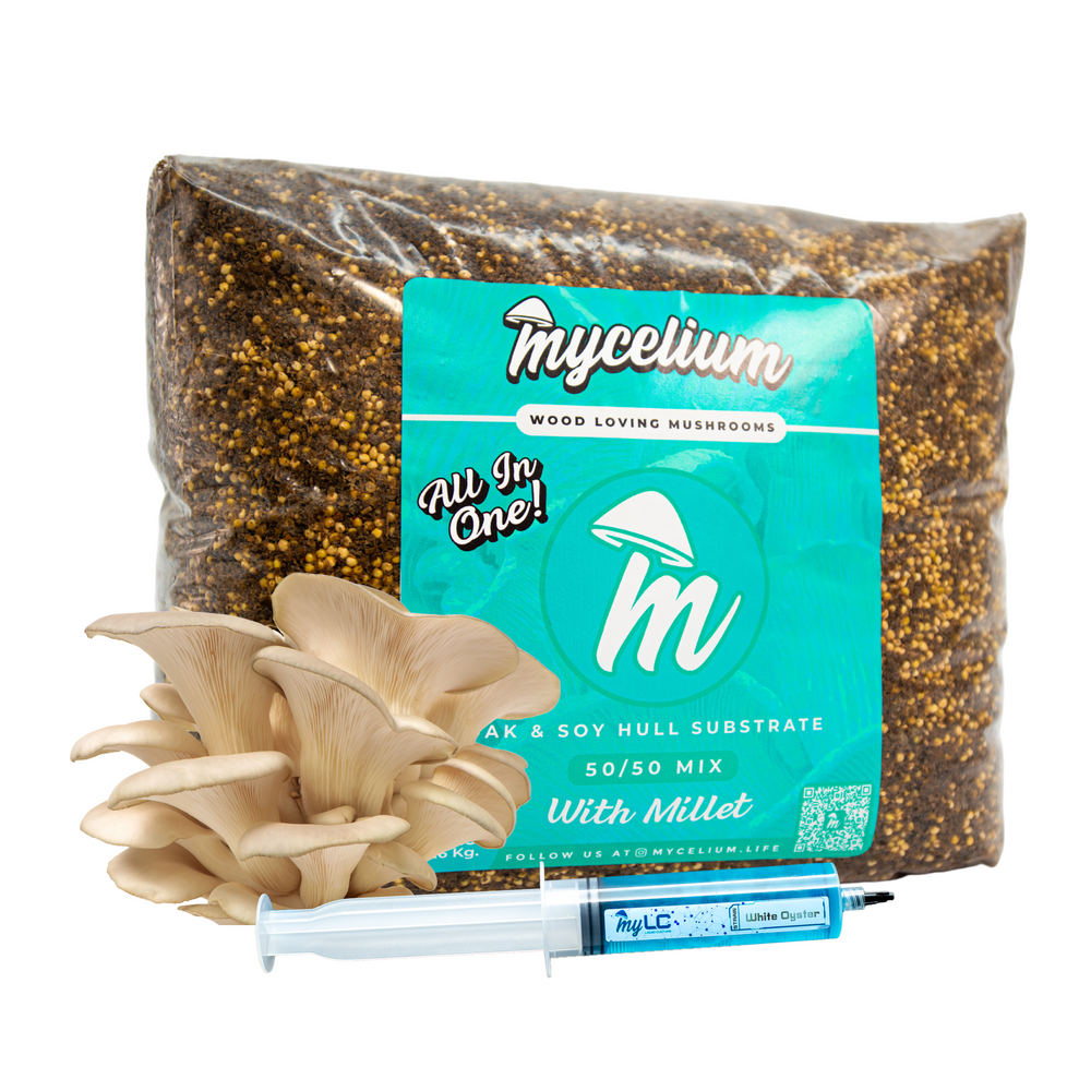 White Oyster Mushroom Grow Kit <br> Oak & Soy Hull with Millet <br> Available in 5 & 8 lbs