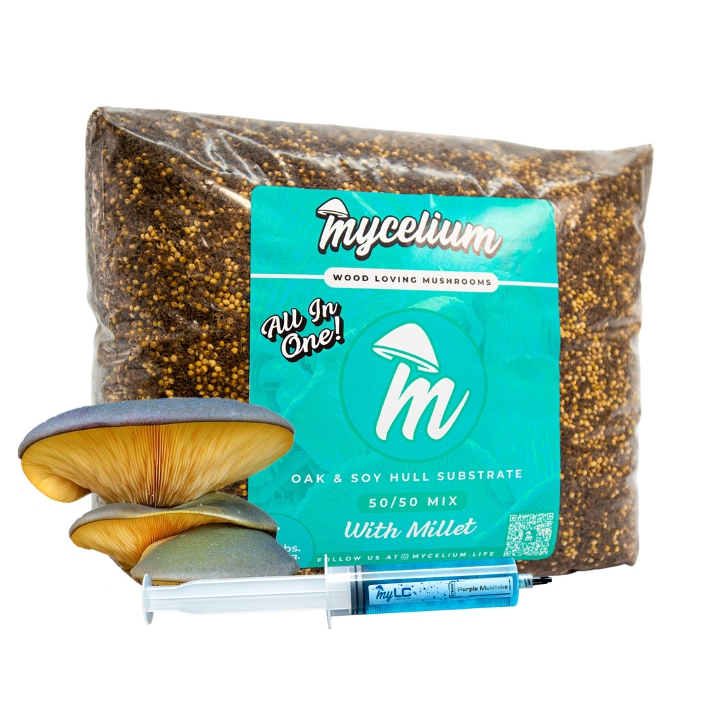 
                      
                        Purple Mukitake Mushroom Grow Kit - Oak & Soy Hull with Millet Grain
                      
                    