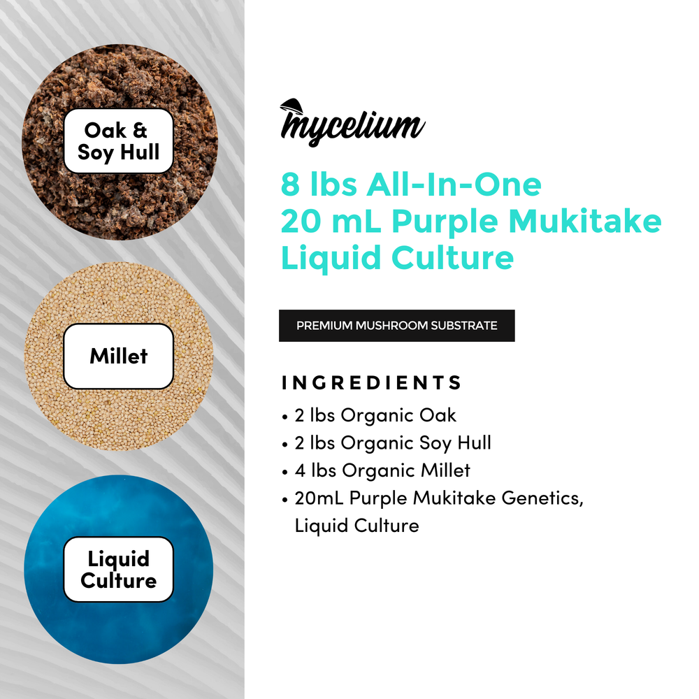 
                      
                        Purple Mukitake Mushroom Grow Kit - Oak & Soy Hull with Millet Grain
                      
                    