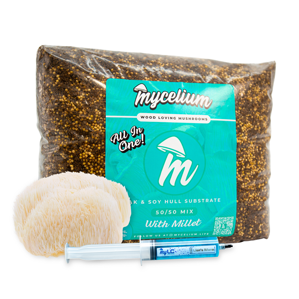 
                      
                        Lion's Mane Mushroom Grow Kit - Oak & Soy Hull with Millet Grain
                      
                    