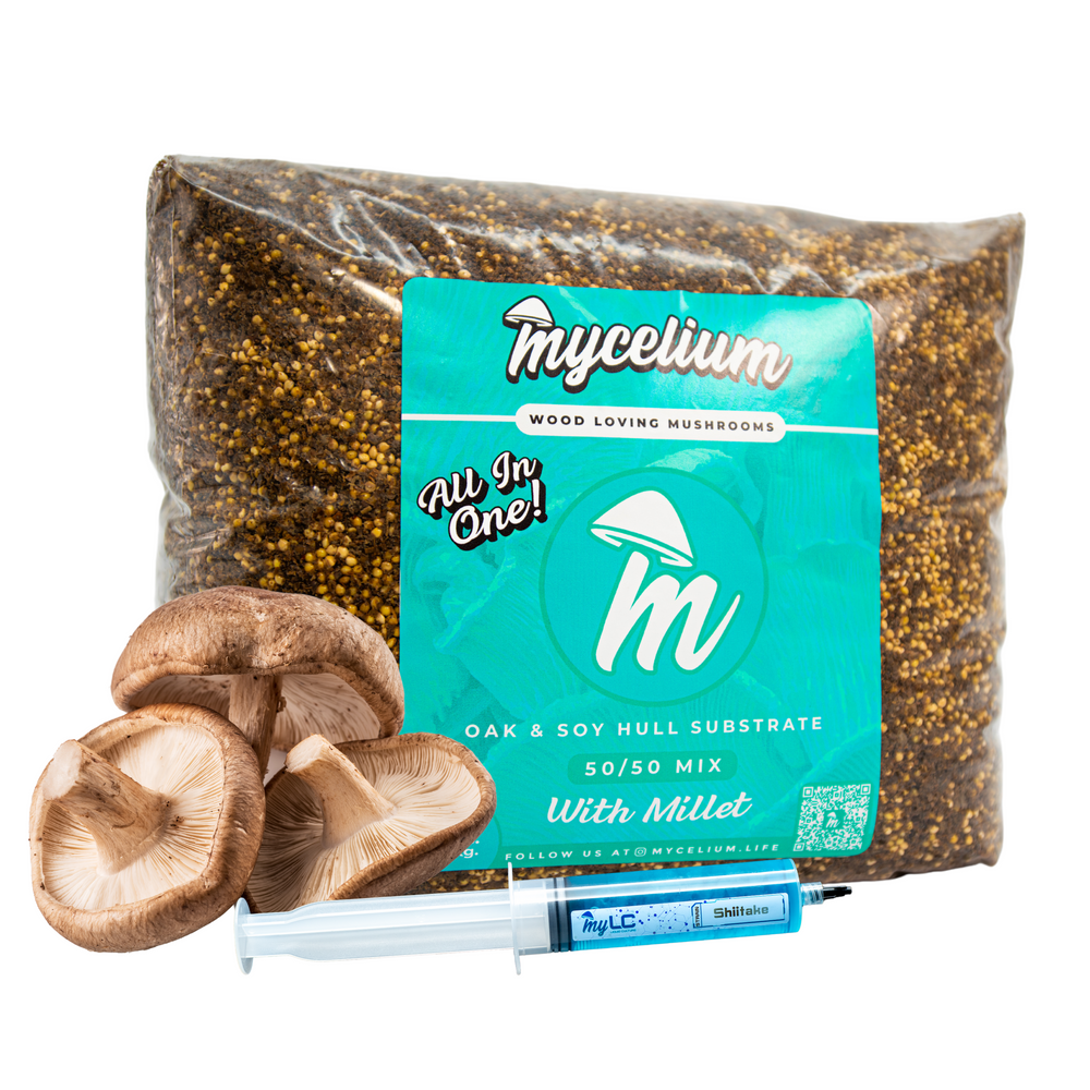 
                      
                        Shiitake Mushroom Grow Kit - Oak & Soy Hull with Millet Grain
                      
                    