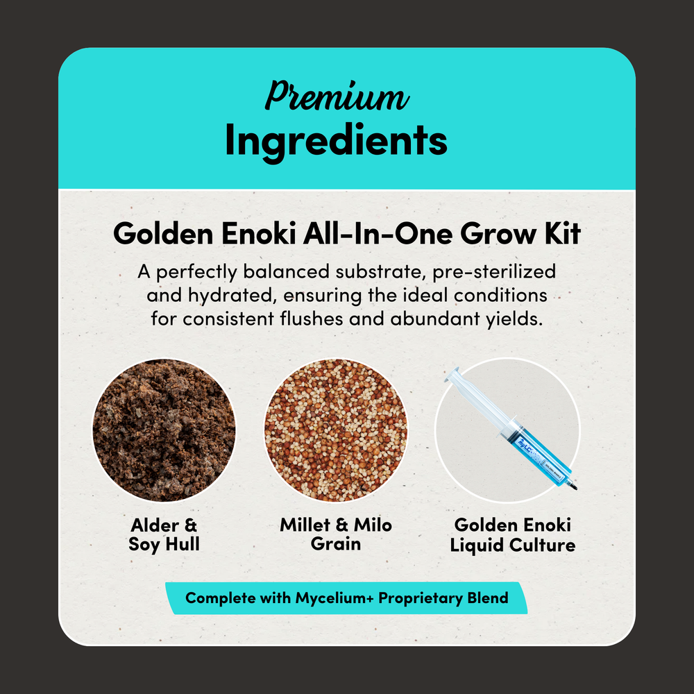 
                      
                        Golden Enoki Mushroom Grow Kit - Alder & Soy Hull with Millet/Milo
                      
                    
