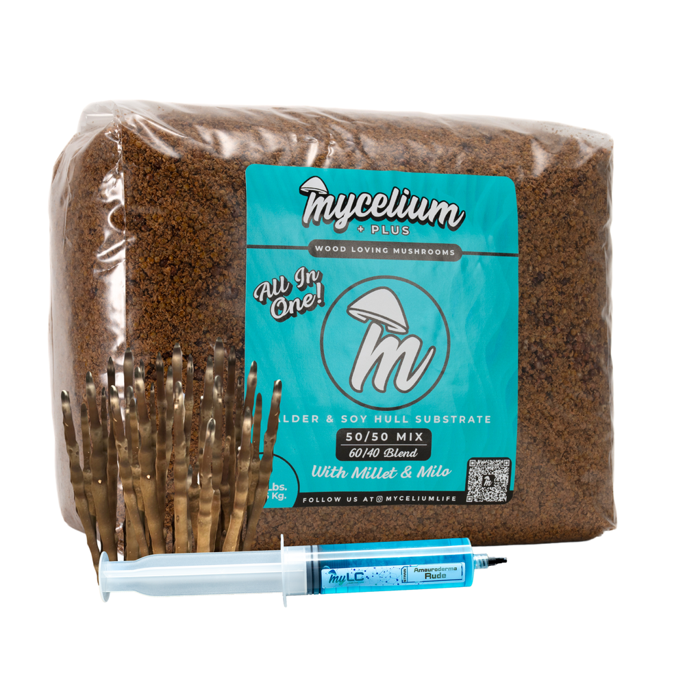 
                      
                        Amauroderma Rude Mushroom Grow Kit - Alder & Soy Hull with Millet/Milo Grain
                      
                    