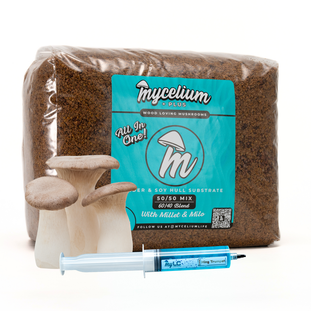 
                      
                        King Trumpet Mushroom Grow Kit - Alder & Soy Hull with Millet/Milo Grain
                      
                    