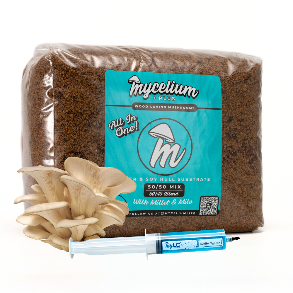 
                      
                        White Oyster Mushroom Grow Kit <br> Alder & Soy Hull with Millet/Milo <br> Available in 5 & 8 lbs
                      
                    