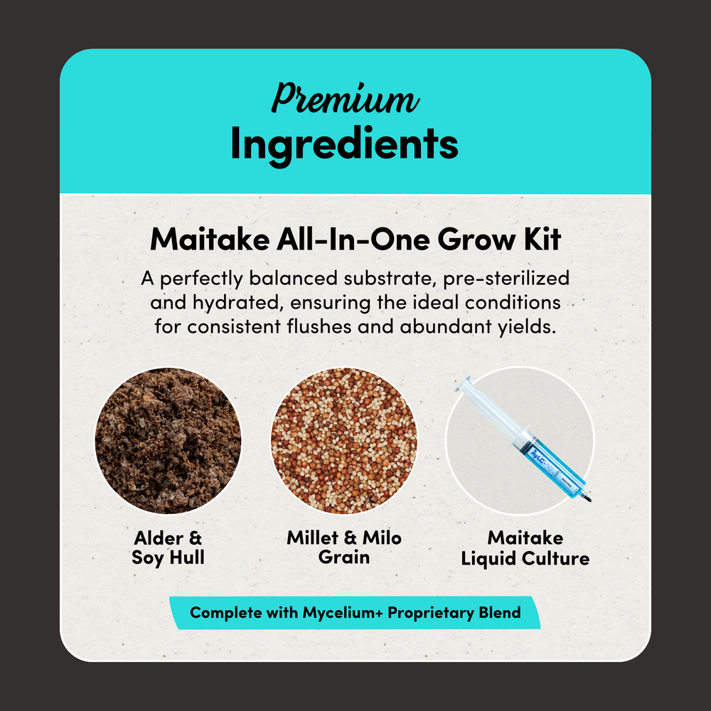 
                      
                        Maitake Mushroom Grow Kit - Alder & Soy Hull with Millet/Milo
                      
                    