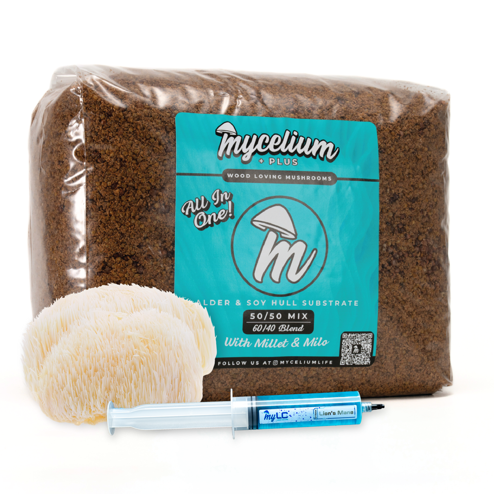 Lion's Mane Mushroom Grow Kit - Alder & Soy Hull with Mycelium+ Millet & Milo Grain