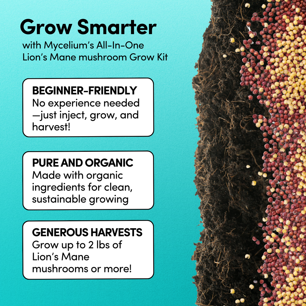 
                      
                        Lion's Mane Mushroom Grow Kit - Alder & Soy Hull with Mycelium+ Millet & Milo Grain
                      
                    