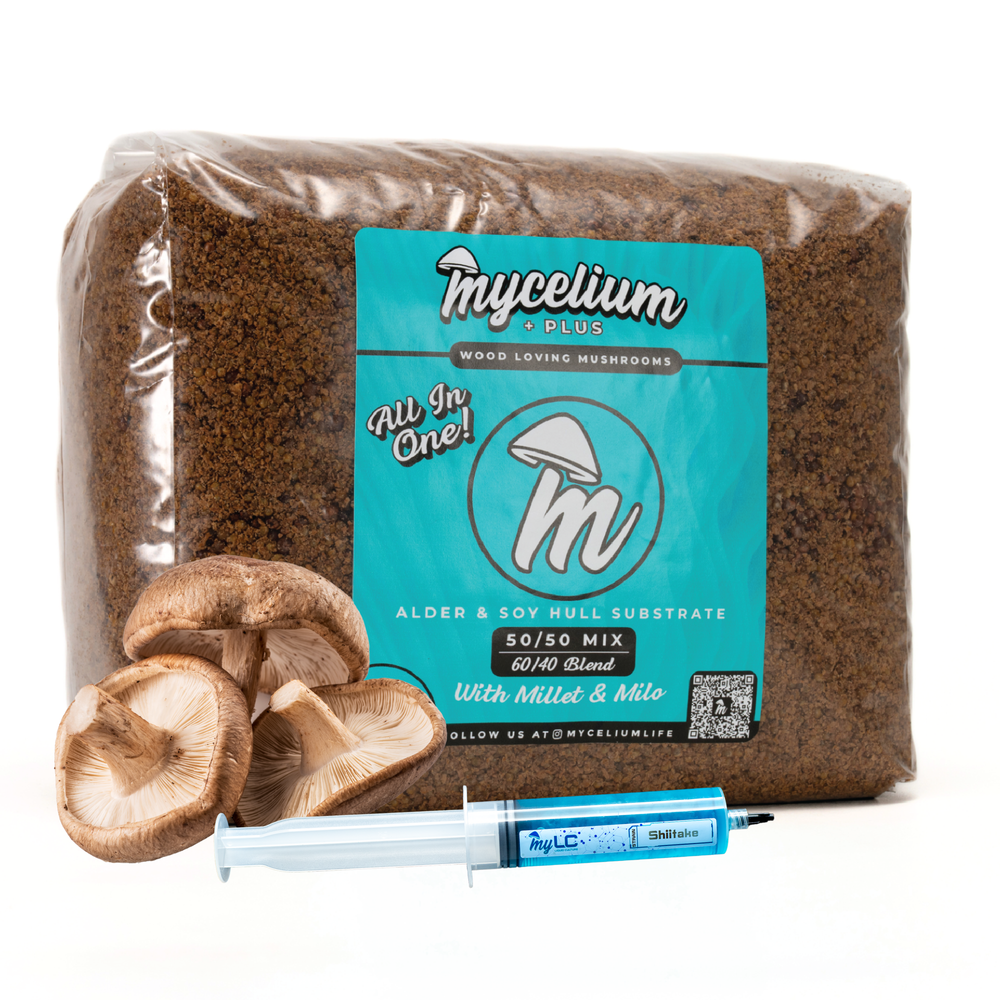 Shiitake Mushroom Grow Kit - Alder & Soy Hull with Mycelium+ Millet & Milo Grain