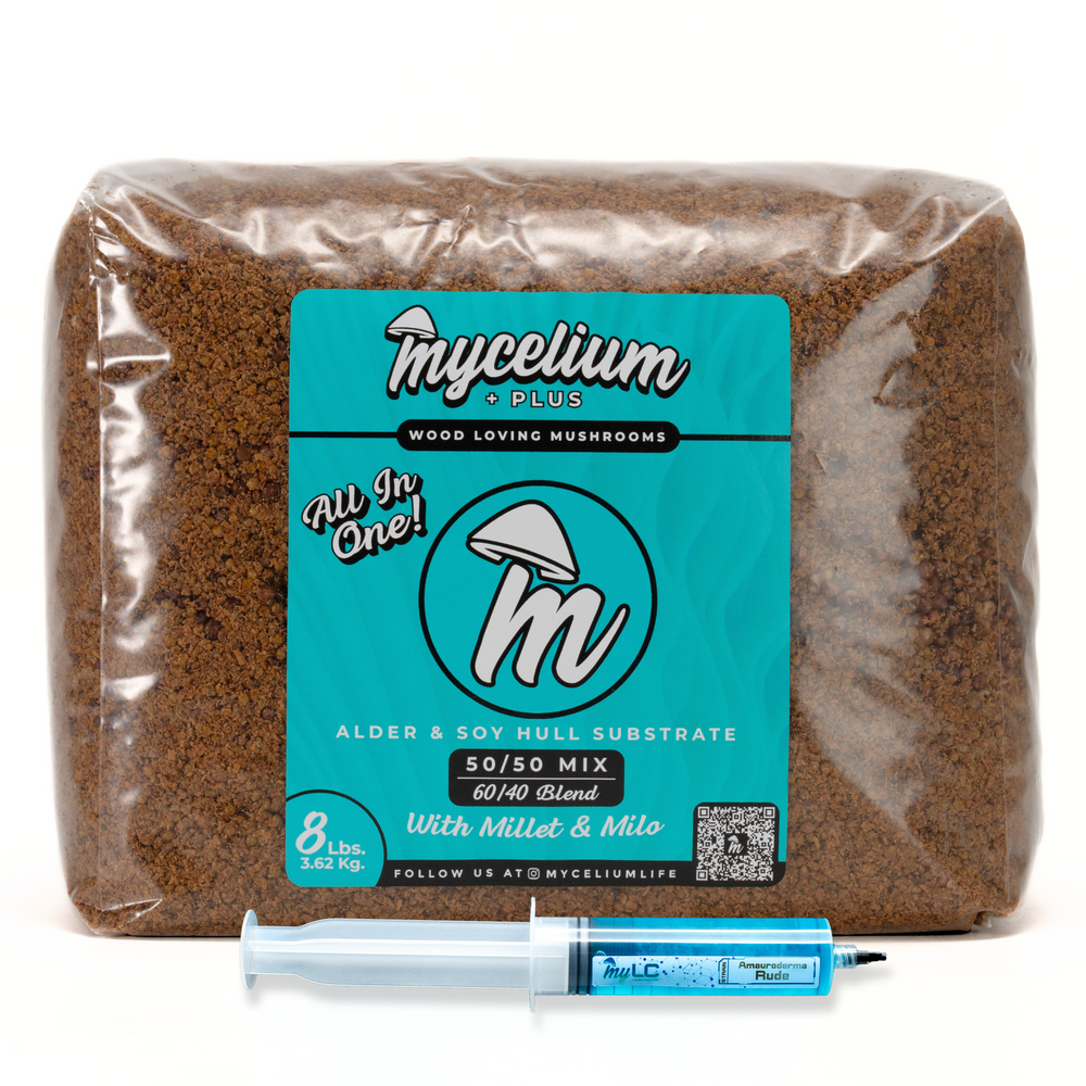 
                      
                        Amauroderma Rude Mushroom Grow Kit - Alder & Soy Hull with Millet/Milo Grain
                      
                    