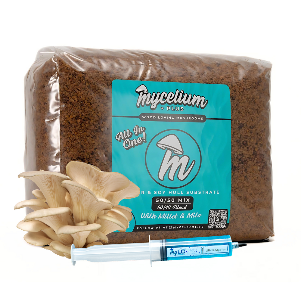 
                      
                        White Oyster Mushroom Grow Kit <br> Alder & Soy Hull with Millet/Milo <br> Available in 5 & 8 lbs
                      
                    