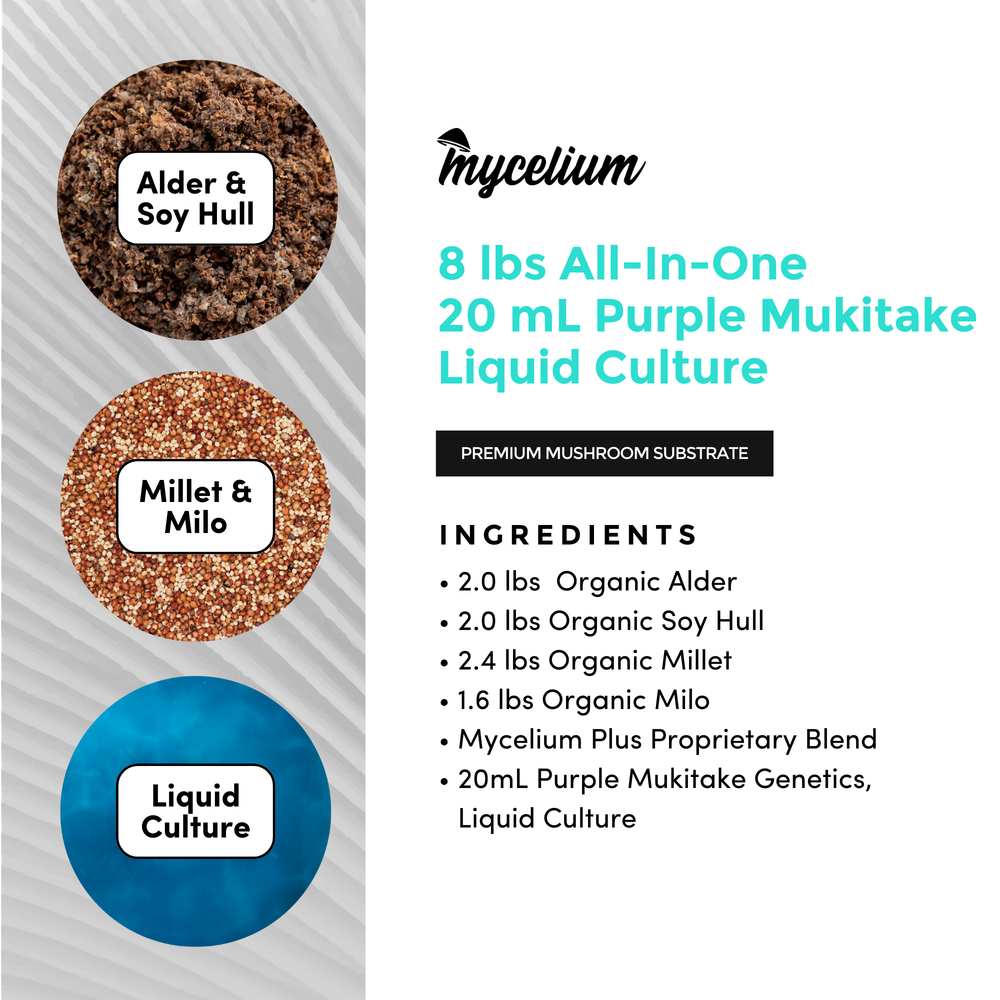 
                      
                        Purple Mukitake Mushroom Grow Kit - Alder & Soy Hull with Millet/Milo Grain
                      
                    