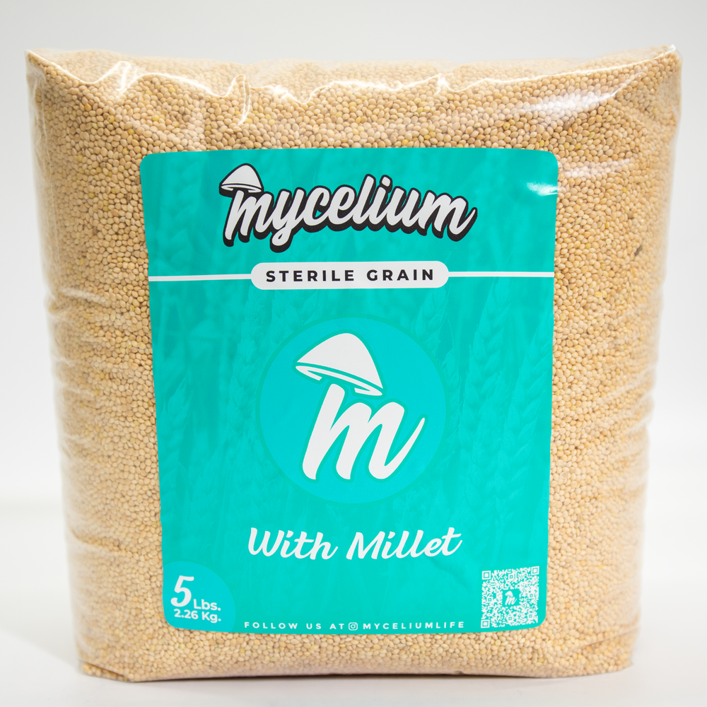 Sterile Millet Grain