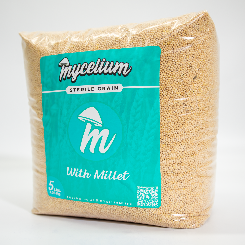 
                      
                        Sterile Millet Grain
                      
                    