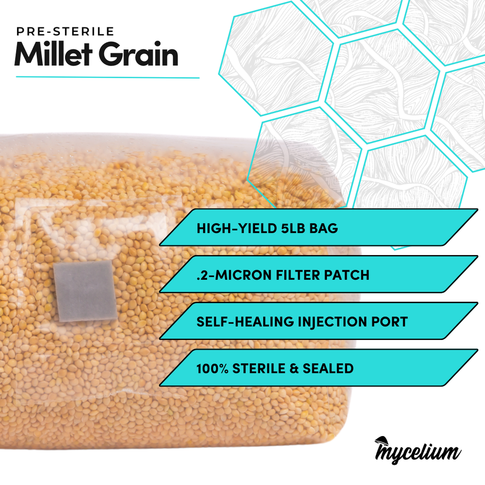 Sterile Millet Grain Spawn