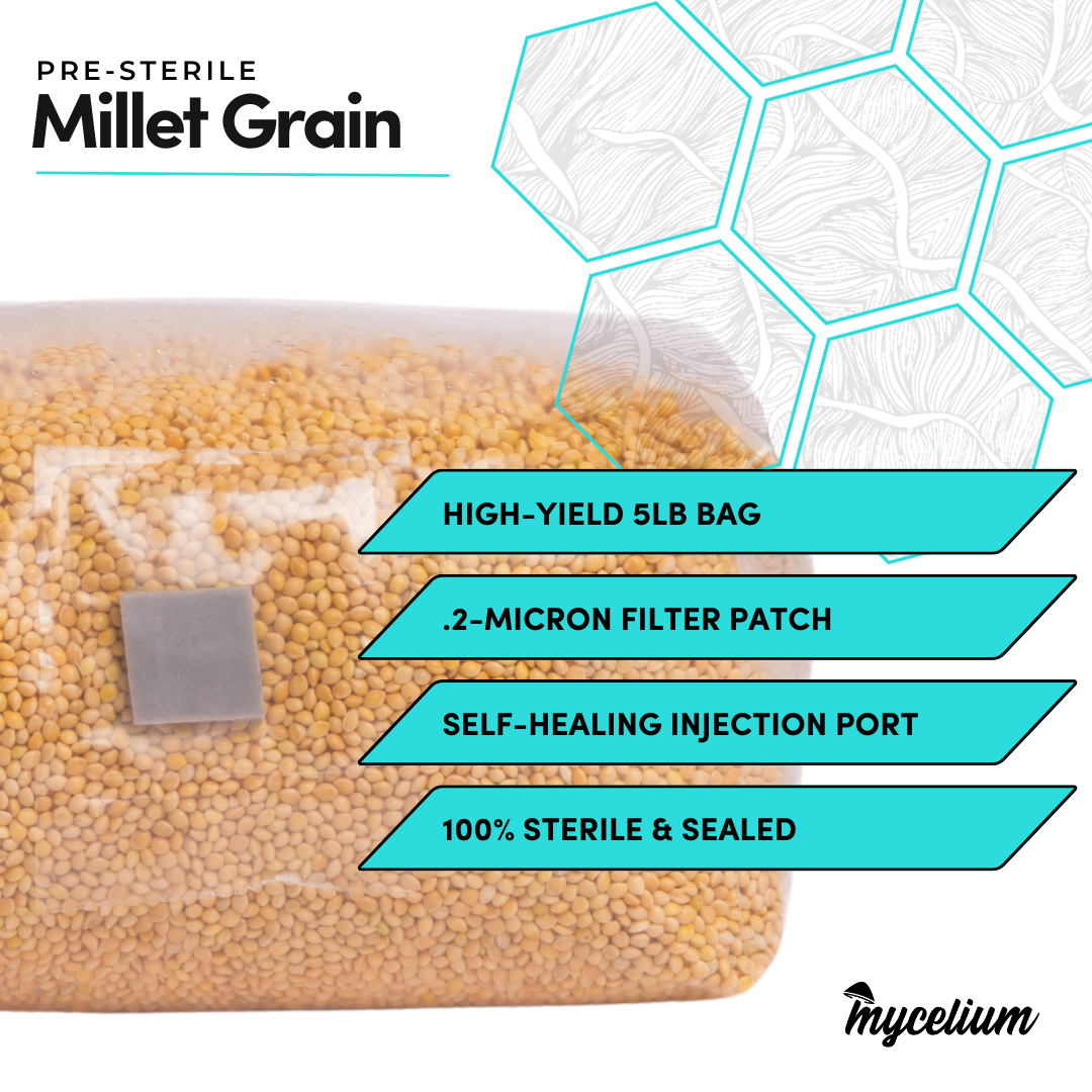 Sterile Millet Grain Spawn