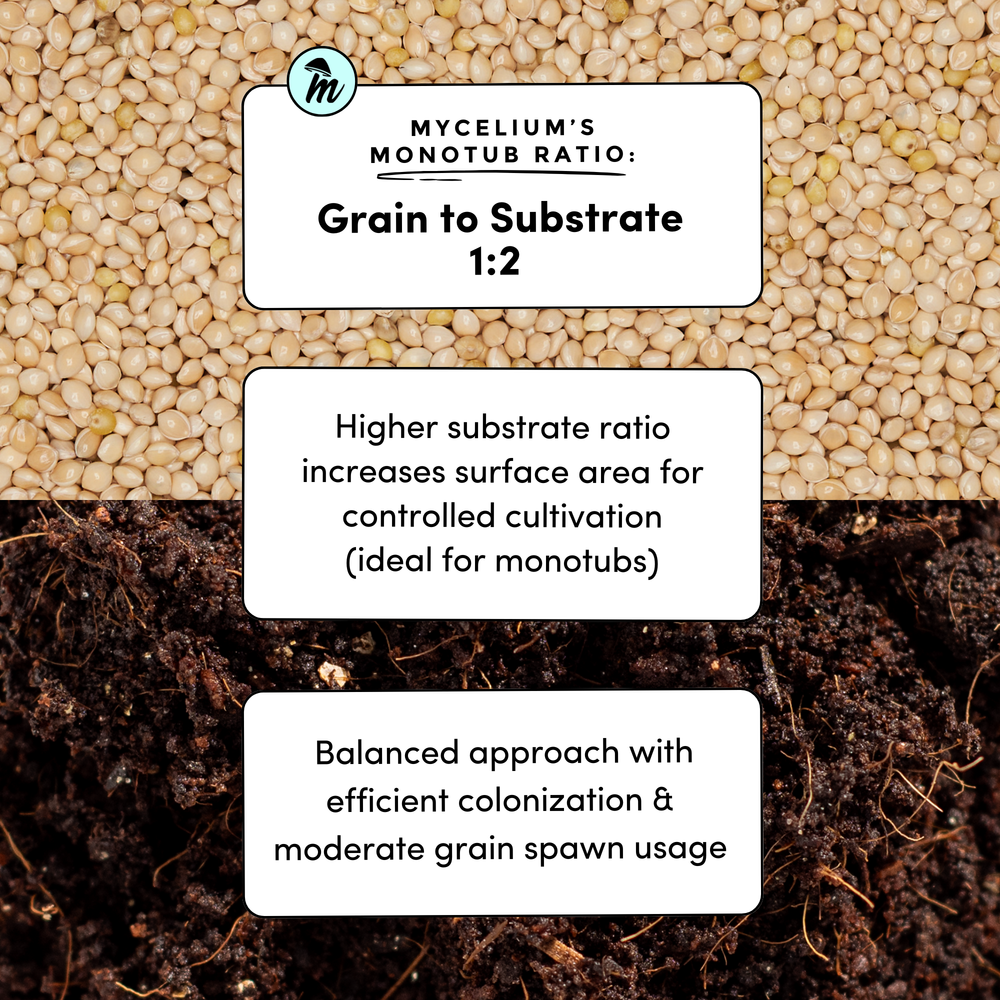 
                      
                        Sterile Millet Grain
                      
                    