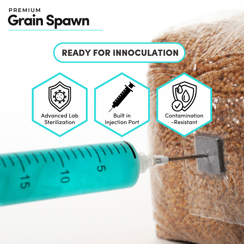 
                      
                        Sterile Millet Grain Spawn
                      
                    