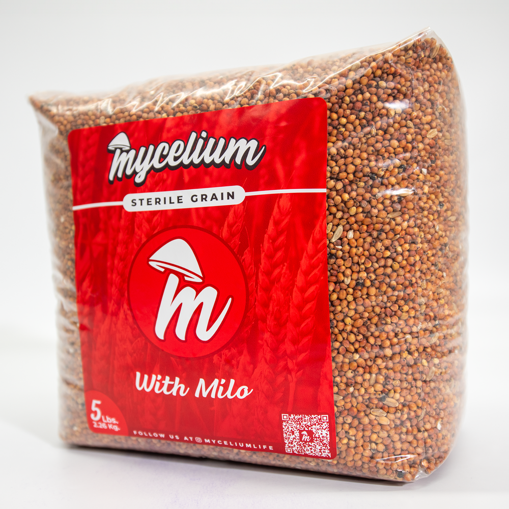 Sterile Milo Grain