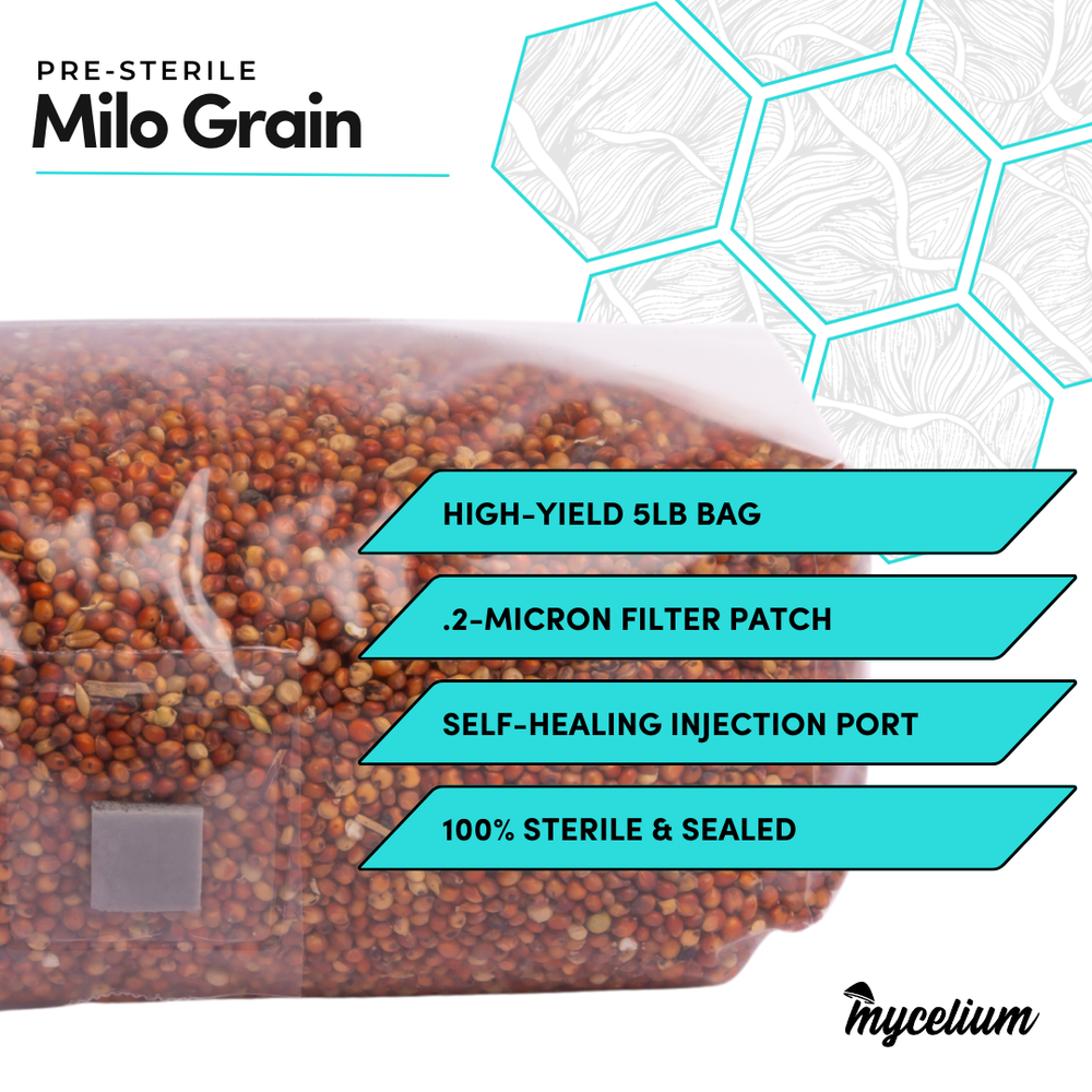 Sterile Milo Grain Spawn
