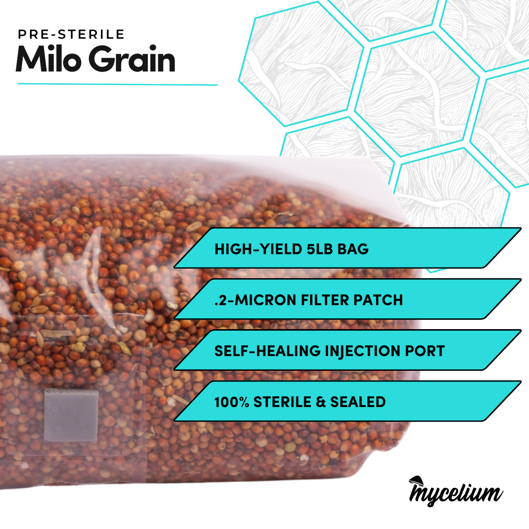 Sterile Milo Grain Spawn
