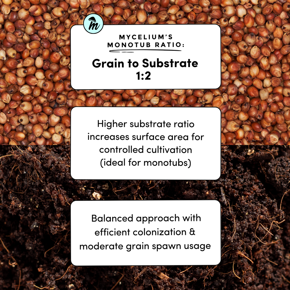 
                      
                        Sterile Milo Grain
                      
                    